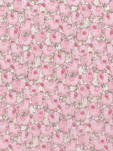 19.-Packed-Pigs