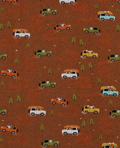 19.-Camping-Cars