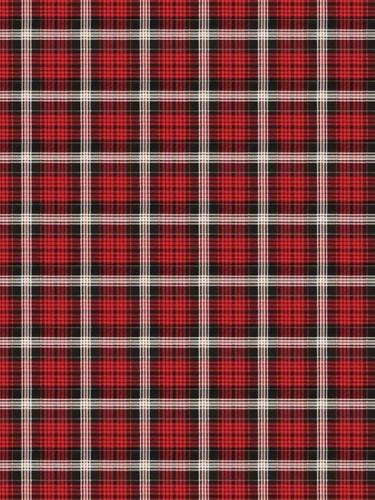 Carter-Plaid-Red