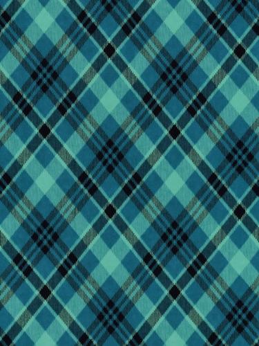 Teal-Black-Bias-Plaid